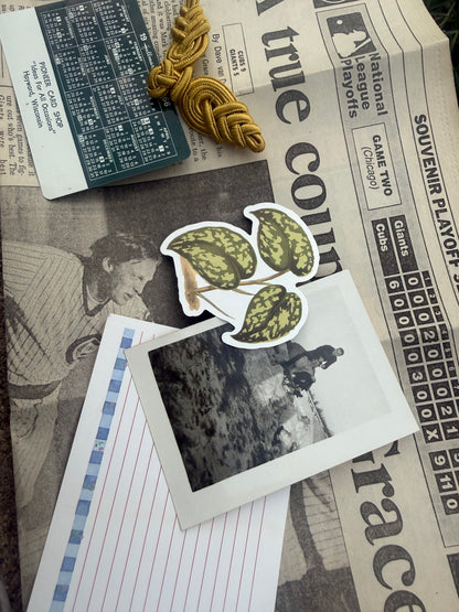 Paper Junk Drawer